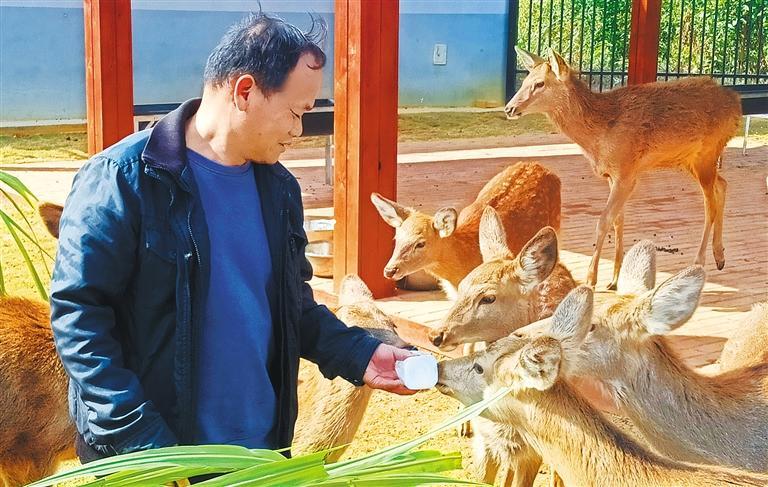 量发展产业调研】林下生金冰球突破正规网站【高质(图2)