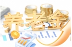 养老金理财产品再扩容冰球突破豪华版个人